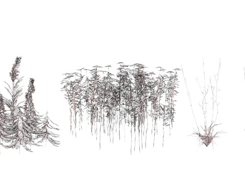 Pacchetto di foglie di fiori selvatici pronto per il gioco Modello 3D