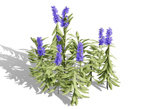 Pacchetto di foglie di fiori selvatici pronto per il gioco Modello 3D