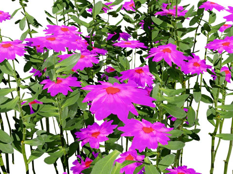 Pacchetto di foglie di fiori selvatici pronto per il gioco Modello 3D