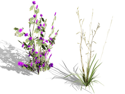 Game Ready Wildflower Foliage Pack Modello 3D