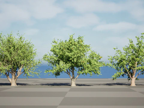 Photorealistic Moroccan Argan Tree 3D Model