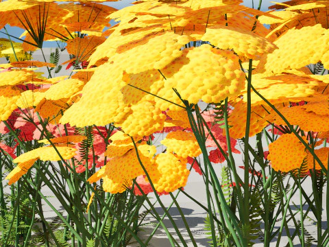 Achillea Flowering Plants 3D Model