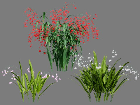 Photorealistic Lily of the Valley Pack Model 3D