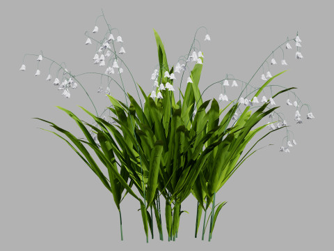 Photorealistic Lily of the Valley Pack Model 3D