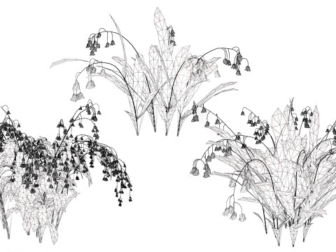Photorealistic Lily of the Valley Pack Model 3D