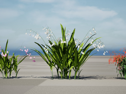 Photorealistic Lily of the Valley Pack Model 3D
