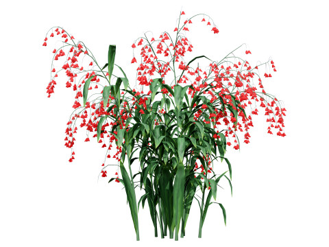 Photorealistic Lily of the Valley Pack Model 3D