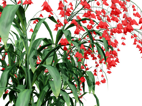 Photorealistic Lily of the Valley Pack Model 3D