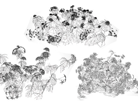 British Forget Me Not Myosotis 3D 模型