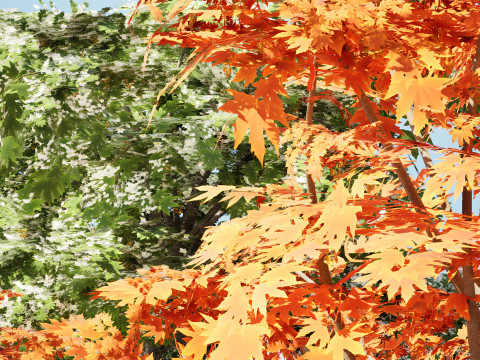 British Sycamore Tree Model 3D