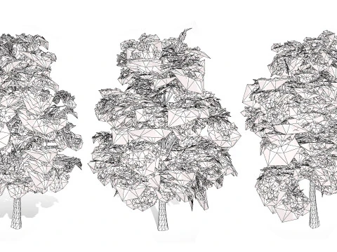 Britischer Bergahornbaum 3D Modell