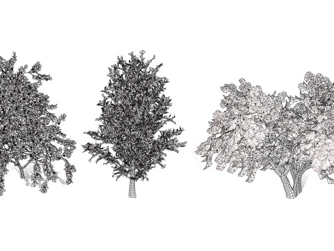 Collezione di peri britannici di Plymouth Modello 3D