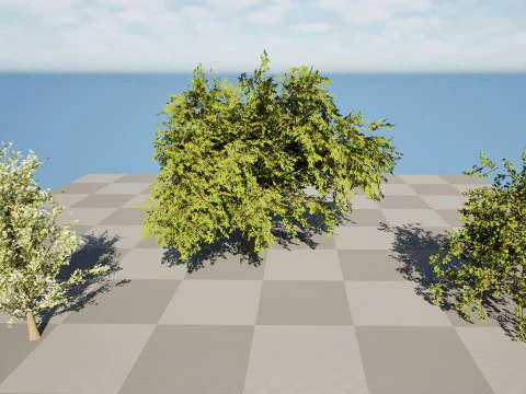 Collezione di peri britannici di Plymouth Modello 3D