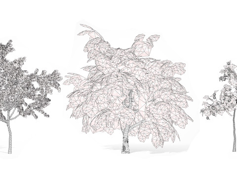 British Standard Apple Malus Bramleys Seedling Tree 3D मॉडल