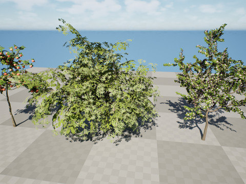 British Standard Apple Malus Bramleys Seedling Tree 3D मॉडल