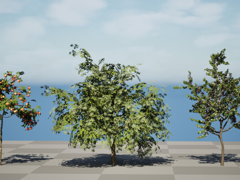 British Standard Apple Malus Bramleys Seedling Tree 3D मॉडल