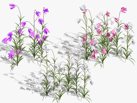 British Fritillary Flowers s Modelo 3D