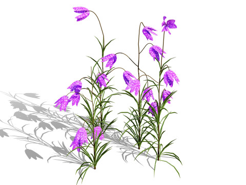 British Fritillary Flowers s 3D Модель