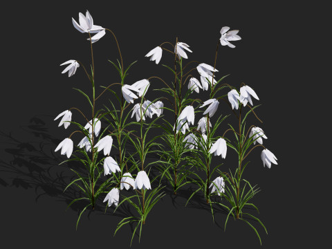 British Fritillary Flowers s 3D Модель
