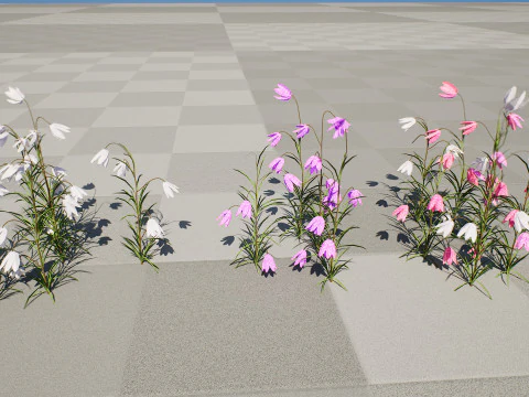 British Fritillary Flowers s 3D Model