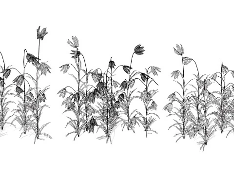 British Fritillary Flowers s 3D Model