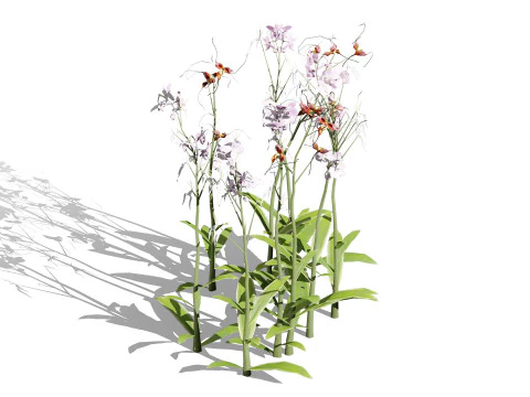 유령 난초 3D 모델