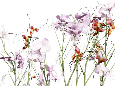 유령 난초 3D 모델