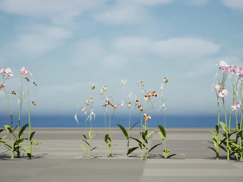 유령 난초 3D 모델