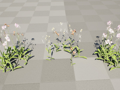 Ghost Orchid 3D Model