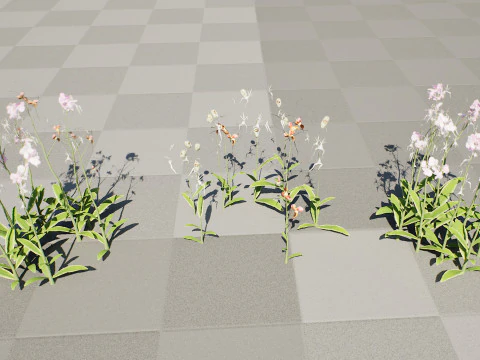 유령 난초 3D 모델