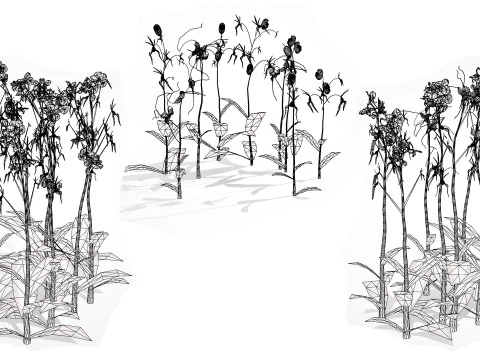 유령 난초 3D 모델