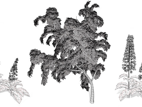 British Lady Orchid Plants Pack 3D Modell