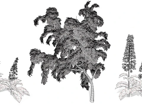 British Lady Orchid Plants Pack 3D Model