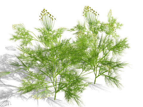 Game-Ready Foliage Pack 3D Model