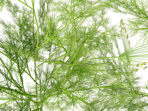 Game-Ready Foliage Pack 3D Model