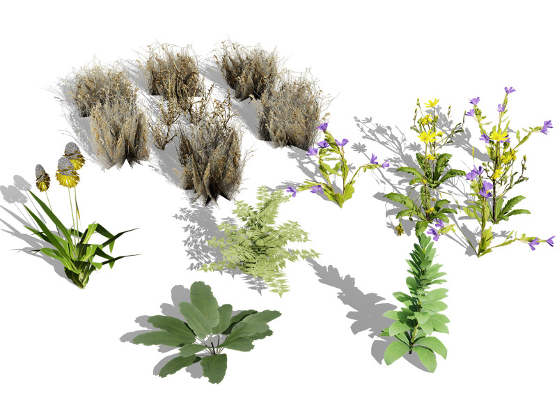 Wild Game Ready Foliage 3D Modell .c4d .max .obj .3ds .fbx .stl .blend