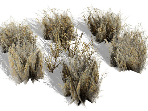 Wild Game Ready Foliage 3D Modell