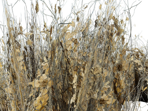 Wild Game Ready Foliage 3D Modell