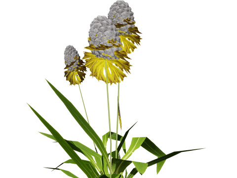 Wild Game Ready Foliage 3D Modell