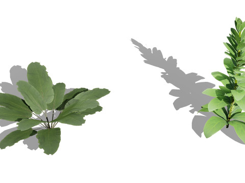 Wild Game Ready Foliage 3D Modell