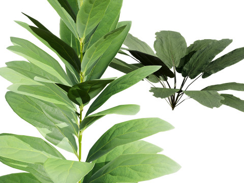 Wild Game Ready Foliage 3D Modell