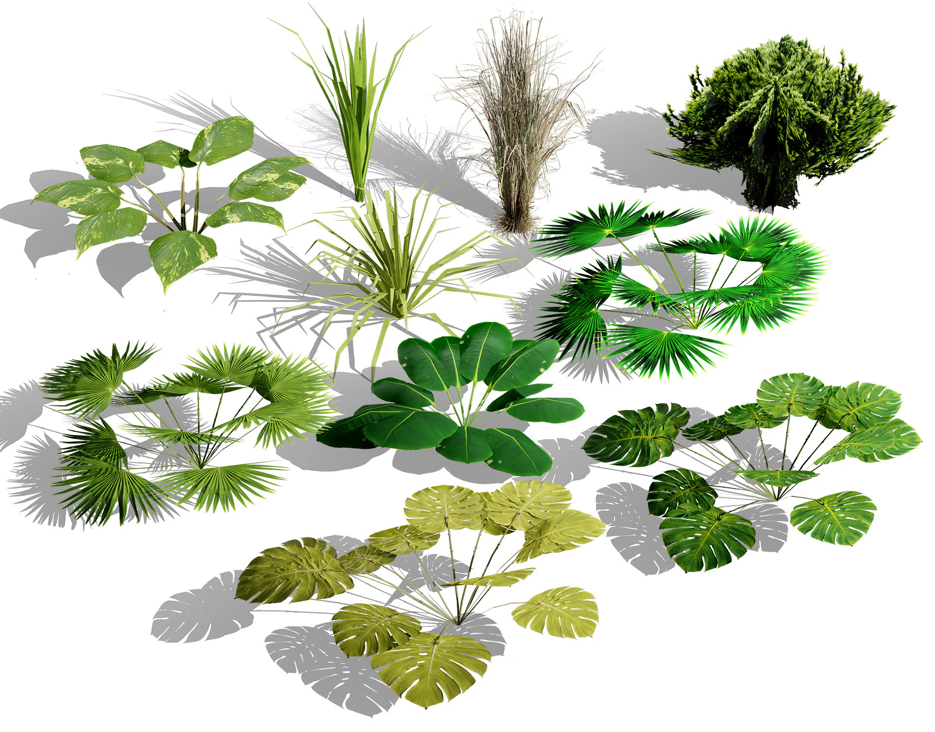 Pacote de folhagem tropical pronto para jogo Modelo 3D .c4d .max .obj .3ds .fbx .stl .blend