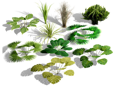 Game-Ready Tropical Foliage Pack Model 3D