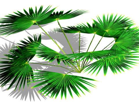 Game-Ready Tropical Foliage Pack Model 3D