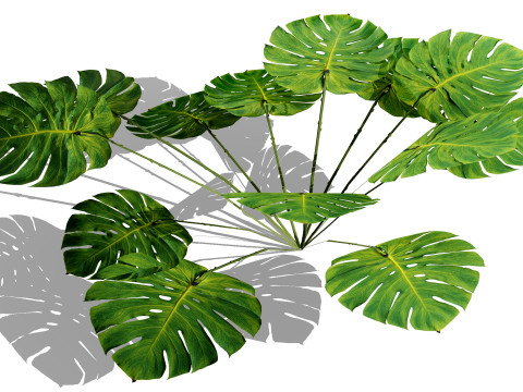 Game-Ready Tropical Foliage Pack Model 3D