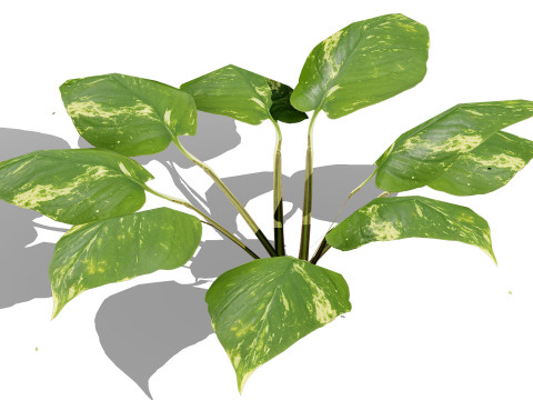 Game-Ready Tropical Foliage Pack Model 3D