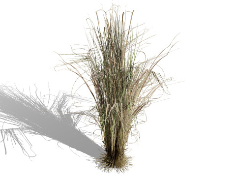 Game-Ready Tropical Foliage Pack Model 3D
