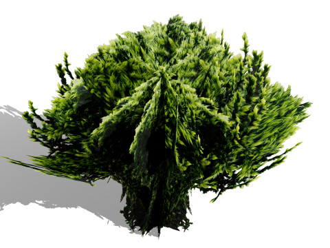Game-Ready Tropical Foliage Pack Model 3D
