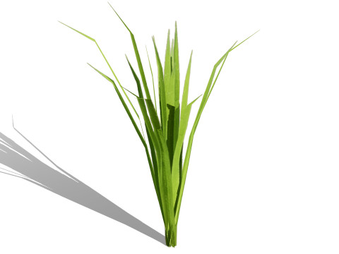 Game-Ready Tropical Foliage Pack Model 3D