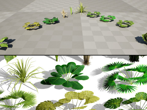 Game-Ready Tropical Foliage Pack Model 3D
